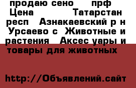 продаю сено 145-прф  › Цена ­ 1 000 - Татарстан респ., Азнакаевский р-н, Урсаево с. Животные и растения » Аксесcуары и товары для животных   